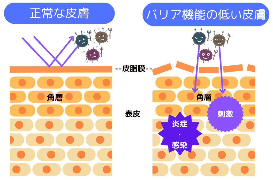 image_3_dfdc3b83ef (1).png