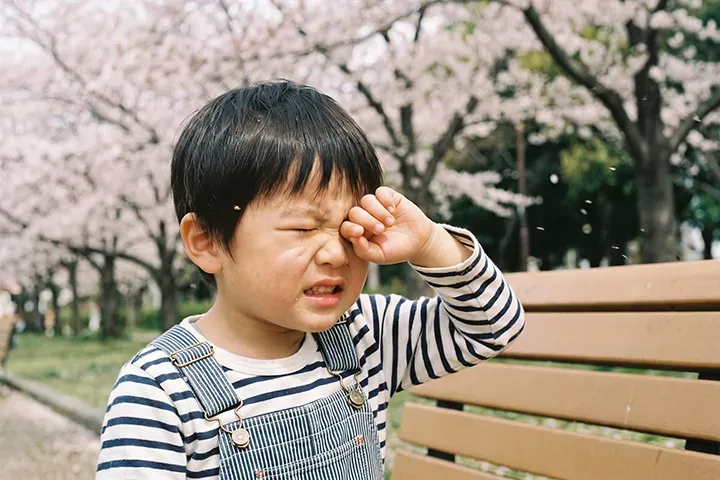子どもの花粉症で目がかゆい｜アレルギー性結膜炎の症状・ケア・受診目安を小児科医が解説